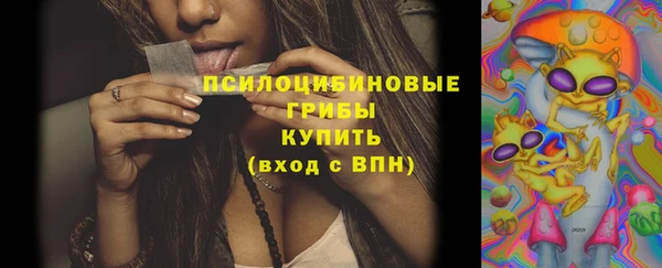 прущие крисы Михайловск